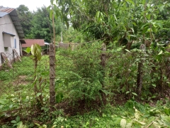 ရွာမြေ ထောင့်ကွက်အရောင်း