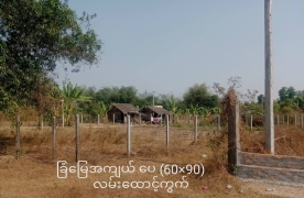 ရန်ကုန်-ပြည်ကားလမ်း ဒဲ့ပေါက် လမ်းမကျယ် မေးတင် 