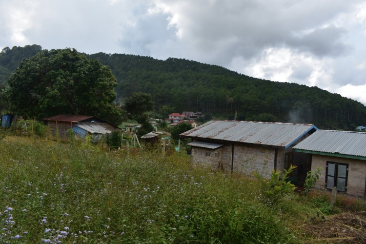 DSC_0190 (FILEminimizer)