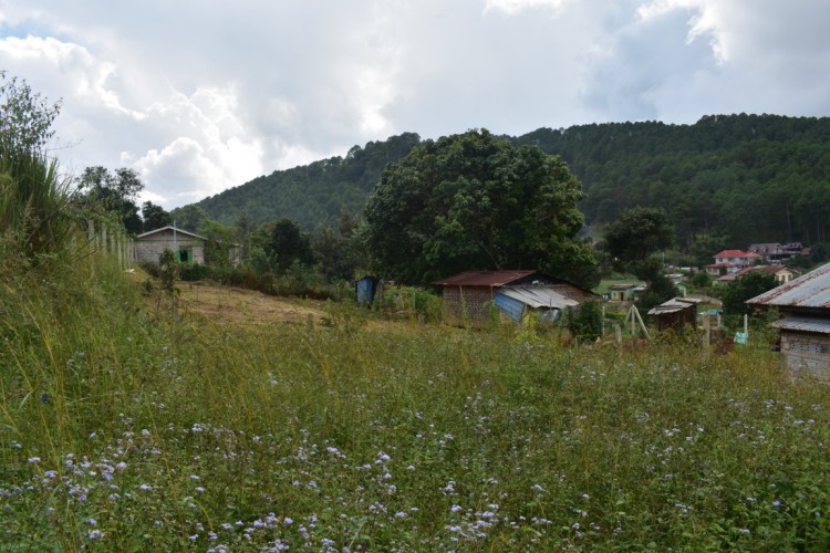 DSC_0192 (FILEminimizer)