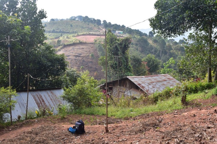 DSC_0003 (FILEminimizer)