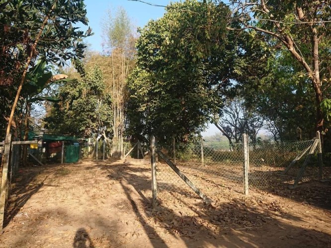 FB_IMG_1653016124634