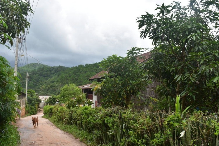 viber_image_2022-06-18_10-55-40-012