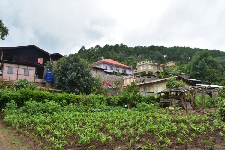 viber_image_2022-06-18_10-55-46-540