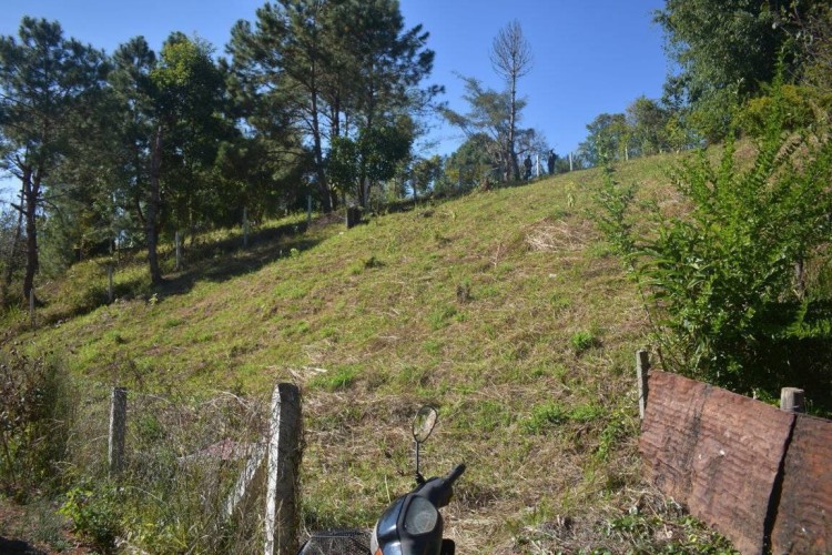 viber_image_2022-06-21_11-31-38-429