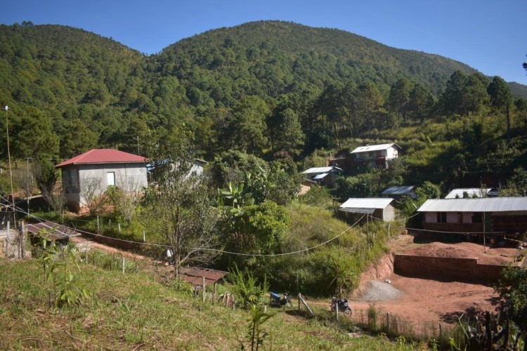 viber_image_2022-06-21_11-31-45-199