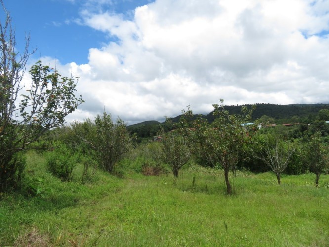 IMG_4575 (FILEminimizer)