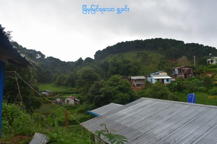 DSC_0056-min (1) (FILEminimizer)