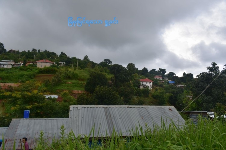 DSC_0060-min (FILEminimizer)