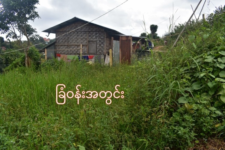 DSC_0063-min (FILEminimizer)