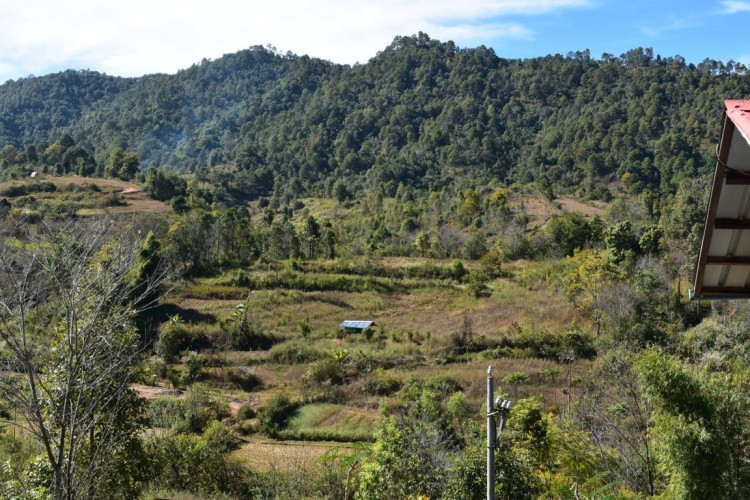 DSC_0019 (FILEminimizer)