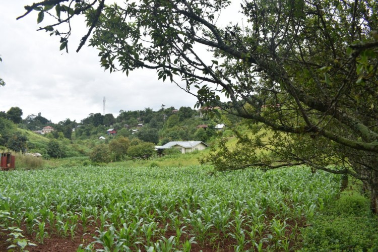 DSC_0521 (FILEminimizer)