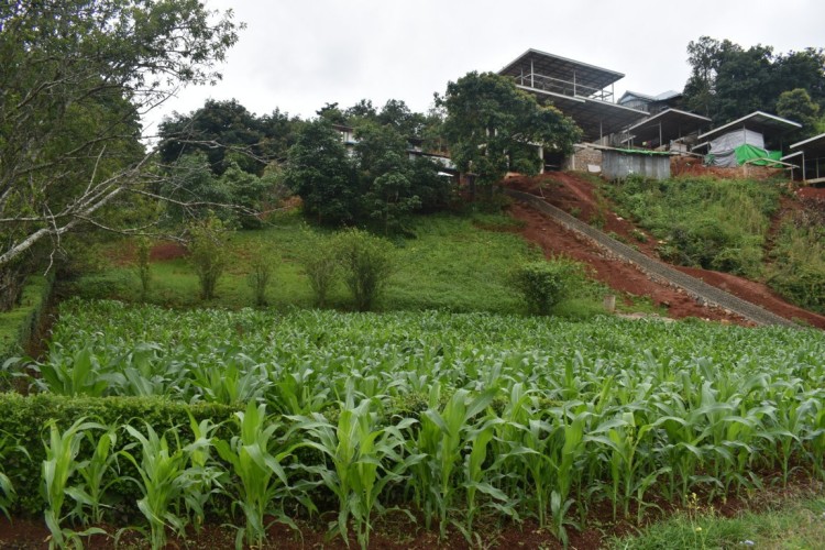 DSC_0522 (FILEminimizer)