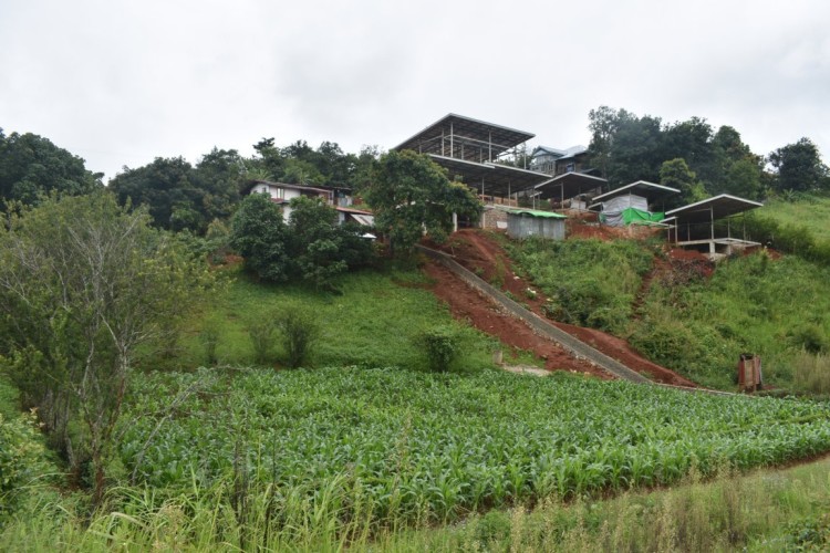 DSC_0525 (FILEminimizer)