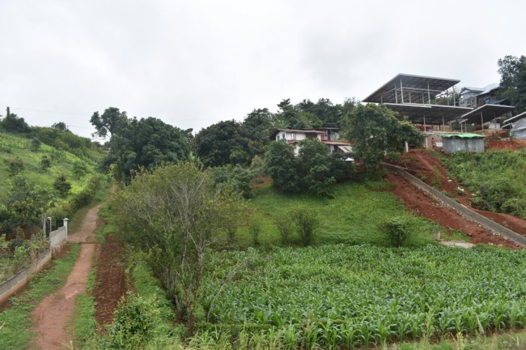 DSC_0528 (FILEminimizer)