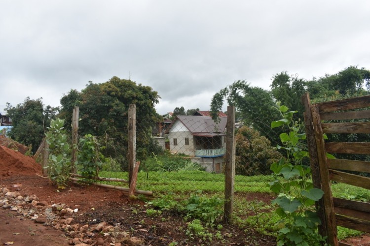 DSC_0533 (FILEminimizer)