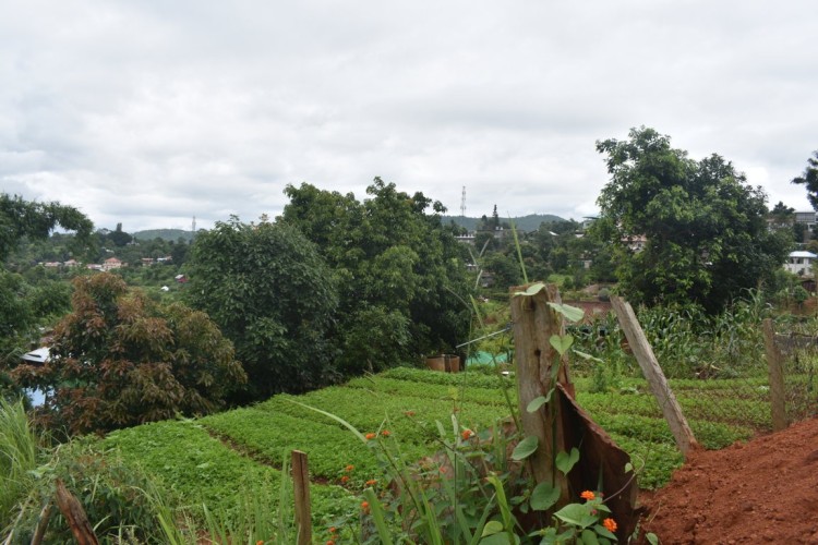 DSC_0534 (FILEminimizer)