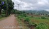 Kalaw view