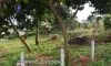 Kalaw Land