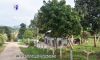 Kalaw Realestate