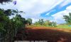 Kalaw