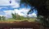 Kalaw property