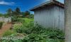 Kalaw