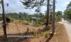 Kalaw Property