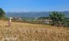 taunggyi