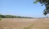 land-sale-watnetchaung