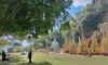 images (1)