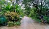 IMG-367780772f05b3a38a837b8cd66bd313-V