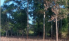 land-sale-wahnetchaung