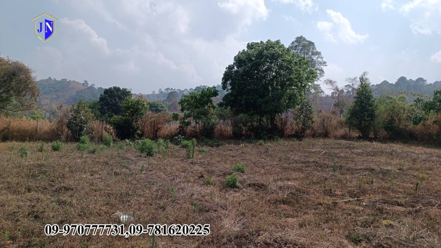 Kalaw Housing Market