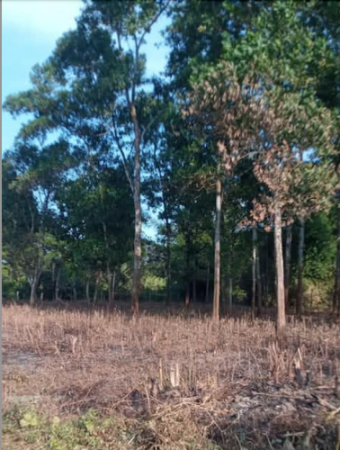 land-sale-wahnetchaung